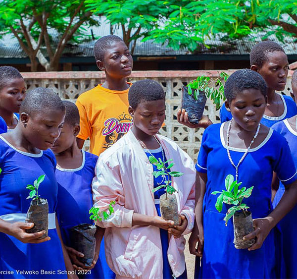 tree-planting-at-yelwoko-basic-sch